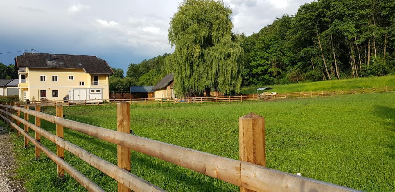 Haus Seidendorf Apartment Sankt Kanzian am Klopeiner See Екстериор снимка